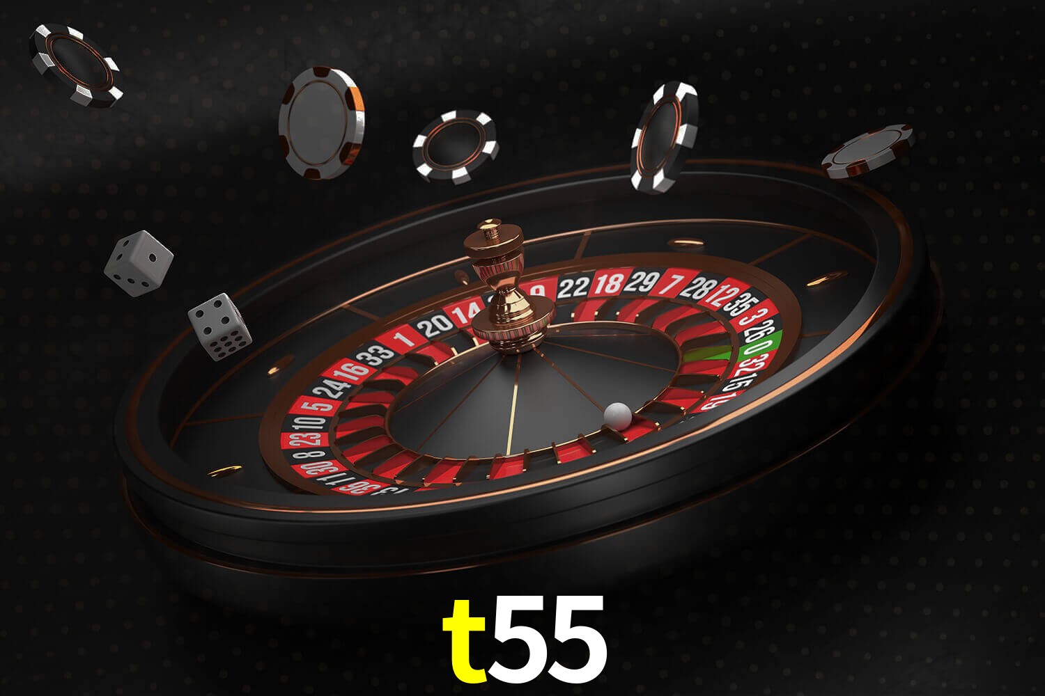 t55.com
