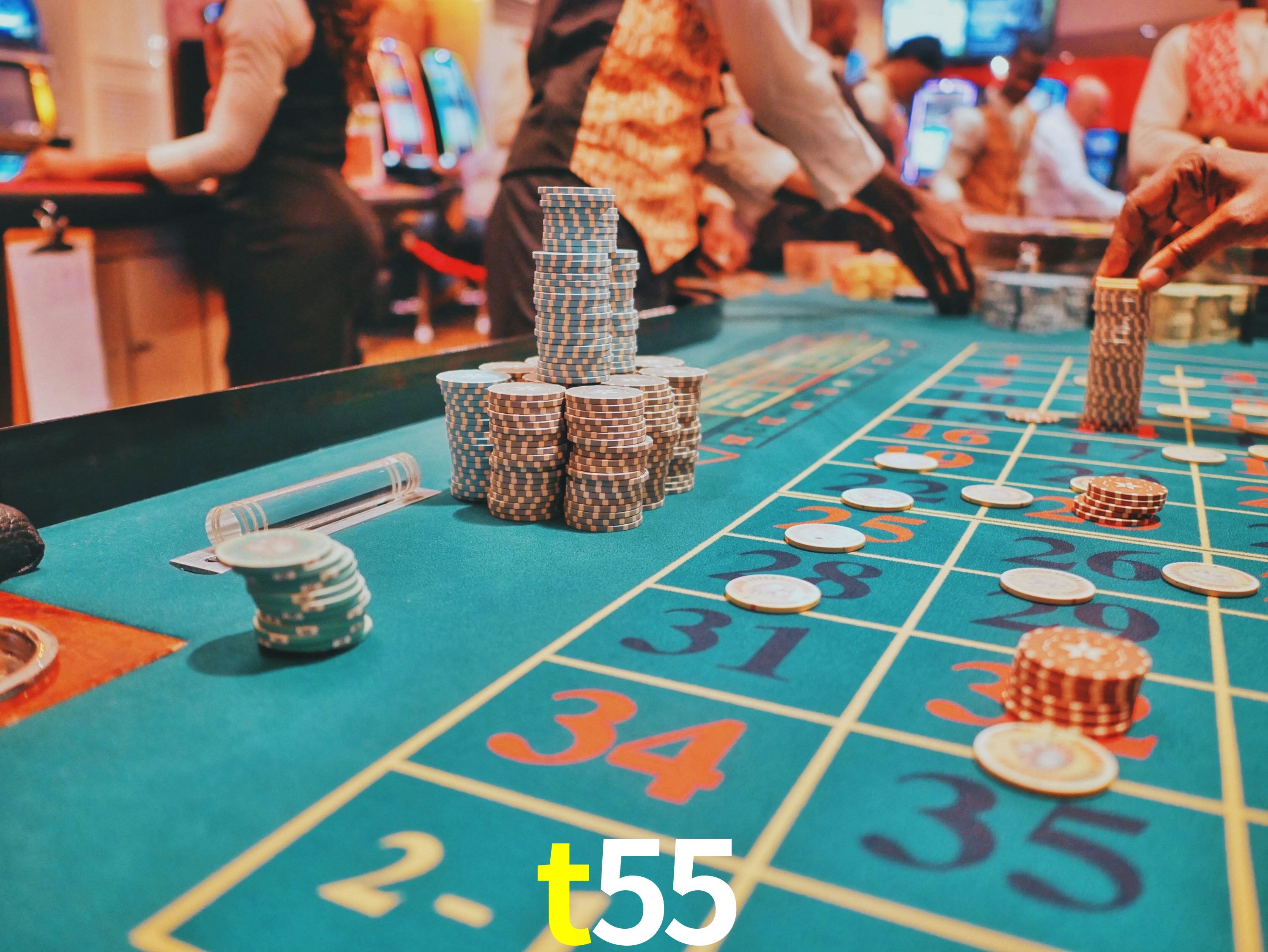 Casino Ao Vivo t55